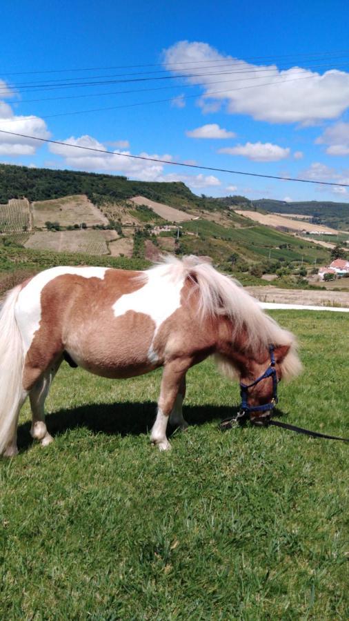 Casinha De Ferias No Campo - Quintinha Dos Cavalos - Arruda Dos Vinhos Sabugos ภายนอก รูปภาพ