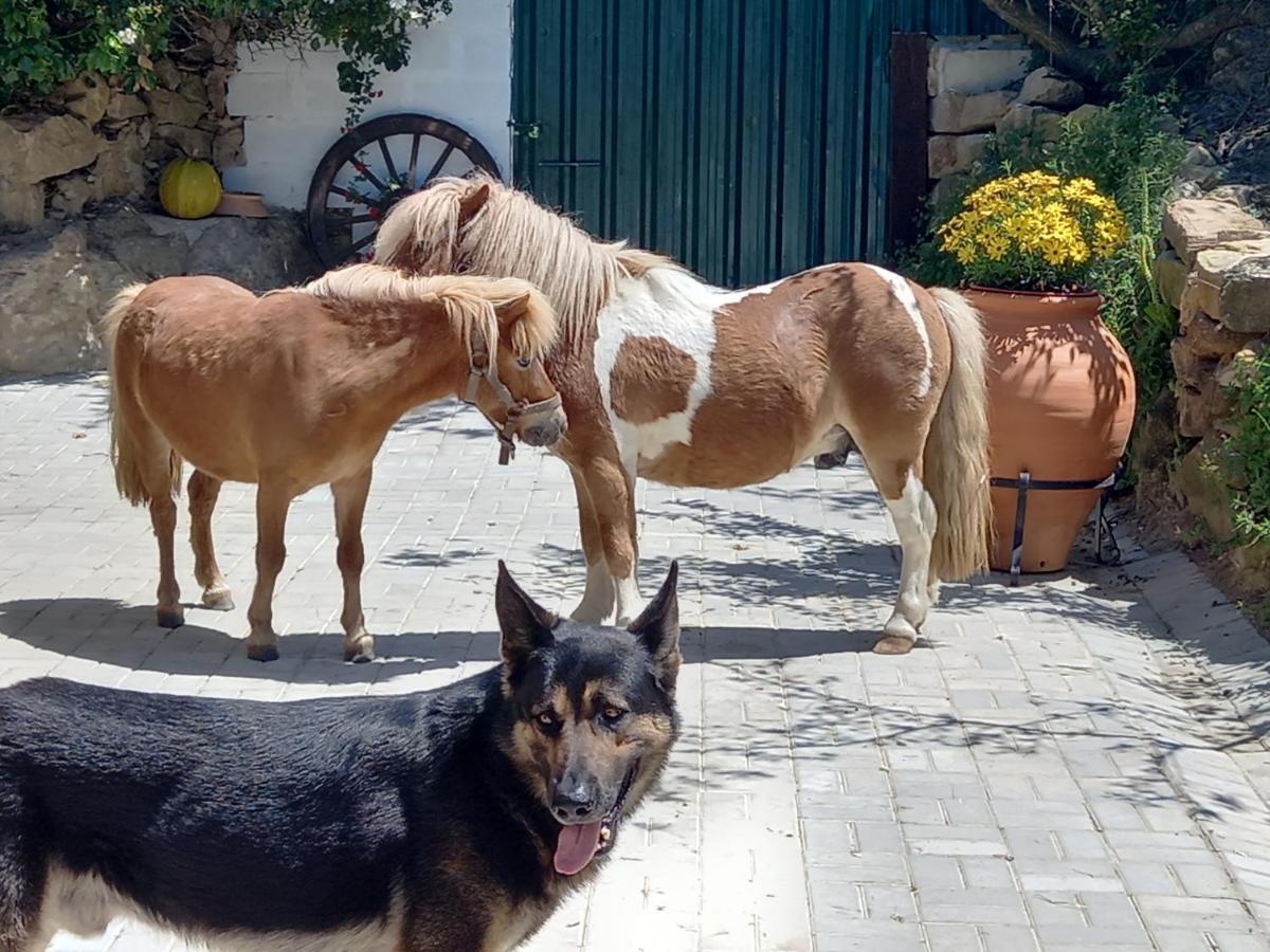 Casinha De Ferias No Campo - Quintinha Dos Cavalos - Arruda Dos Vinhos Sabugos ภายนอก รูปภาพ