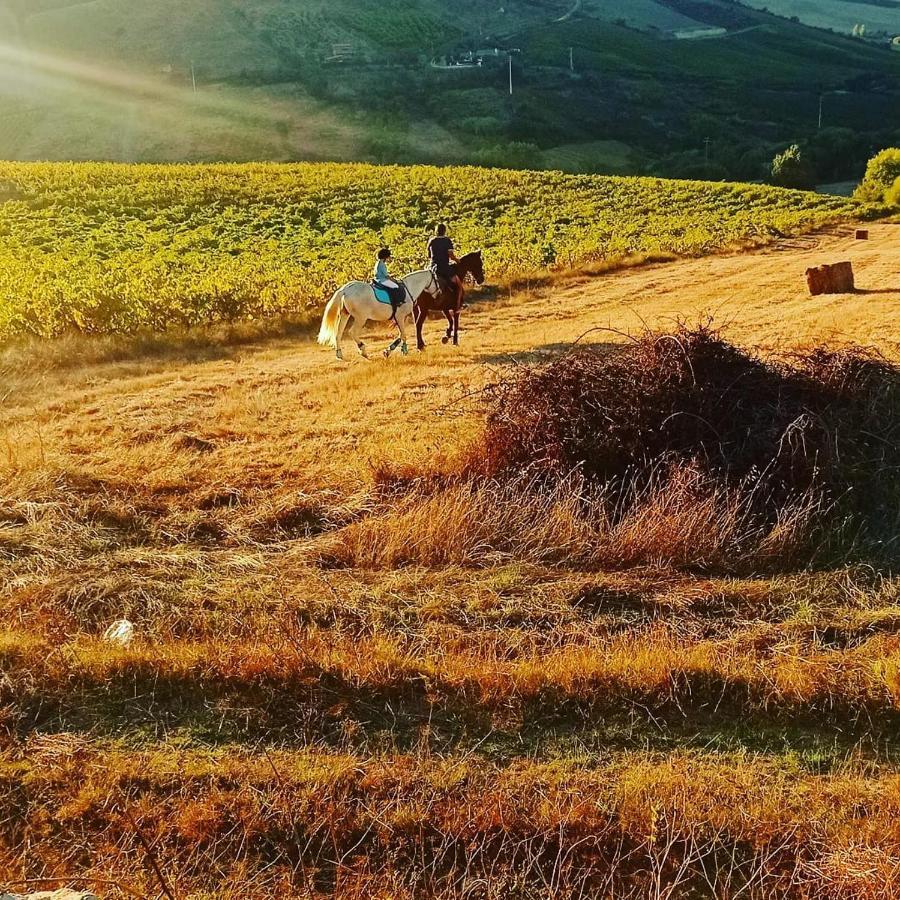 Casinha De Ferias No Campo - Quintinha Dos Cavalos - Arruda Dos Vinhos Sabugos ภายนอก รูปภาพ