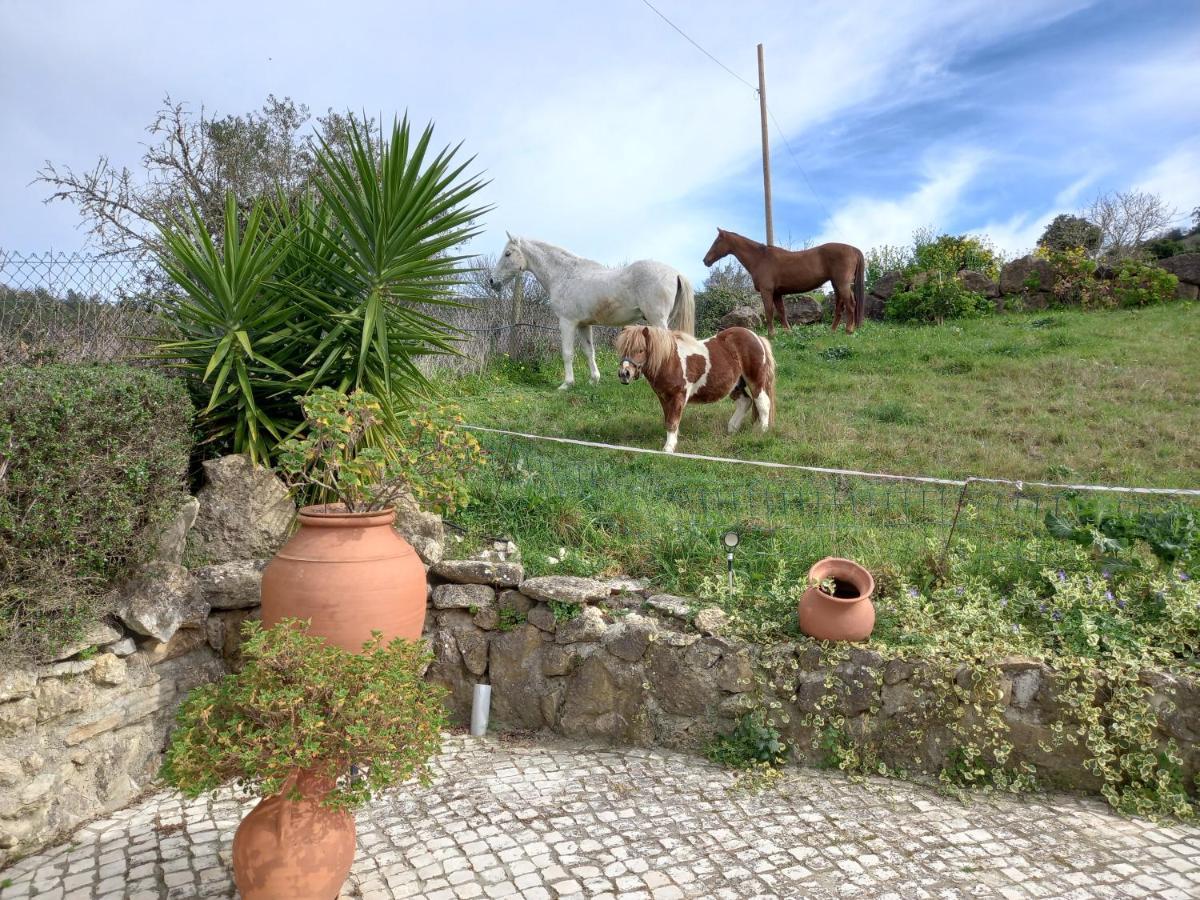 Casinha De Ferias No Campo - Quintinha Dos Cavalos - Arruda Dos Vinhos Sabugos ภายนอก รูปภาพ